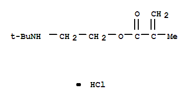 2-[(1,1-dimethylethyl)amino]ethyl methacrylate hydrochloride